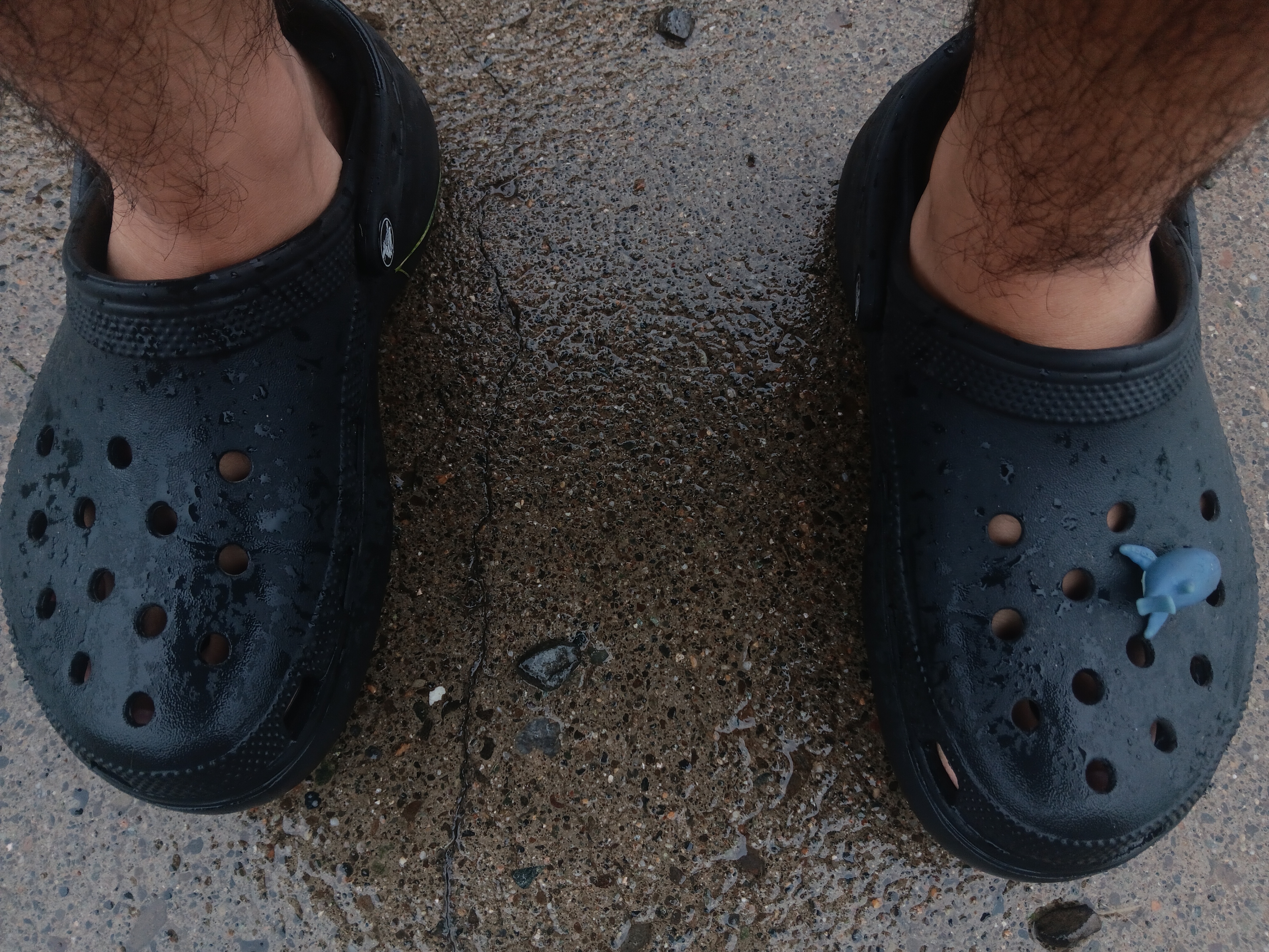 Photos de pieds gratuites - Crows_Toes