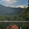 VelvetSoles3