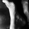 Artdupied