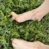 BarefootGirlInTheGarden